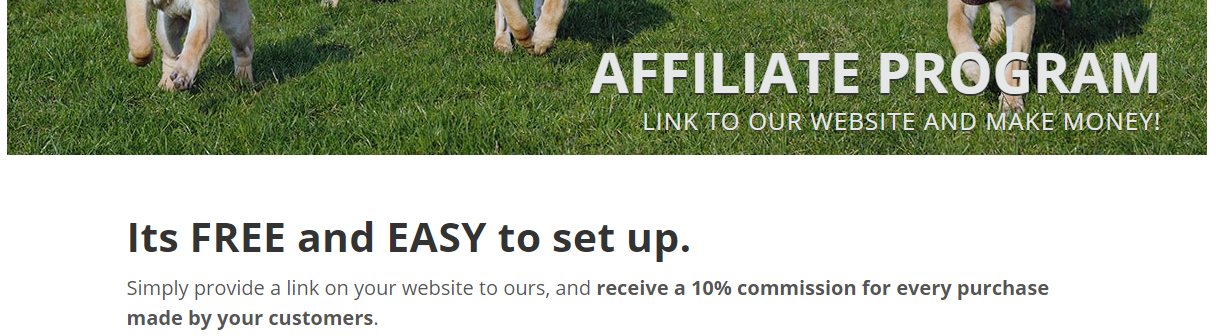 Affiliate Program Example